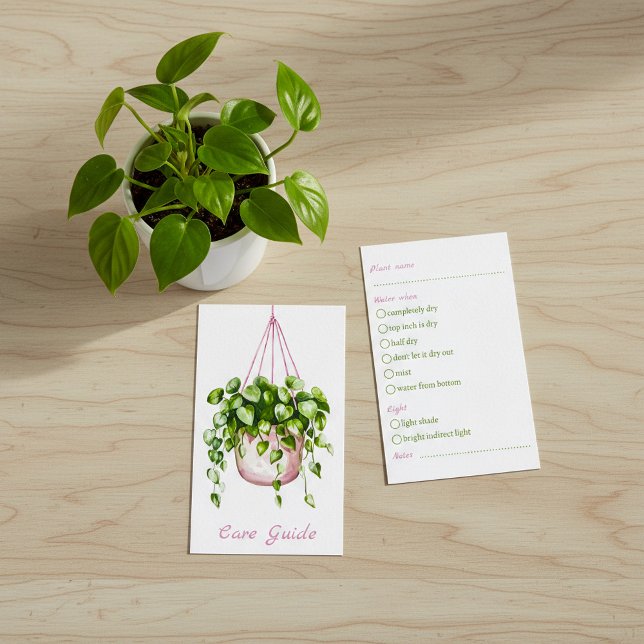 Watercolor Hanging Plant Care Guide Enclosure Card (Watercolor Hanging Plant Care Guide Enclosure Card.)