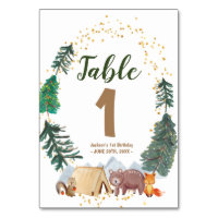 Watercolor Happy Camper 1st Birthday Table Number