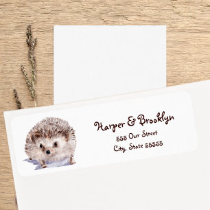 Watercolor Hedgehog Cute Wildlife Illustration