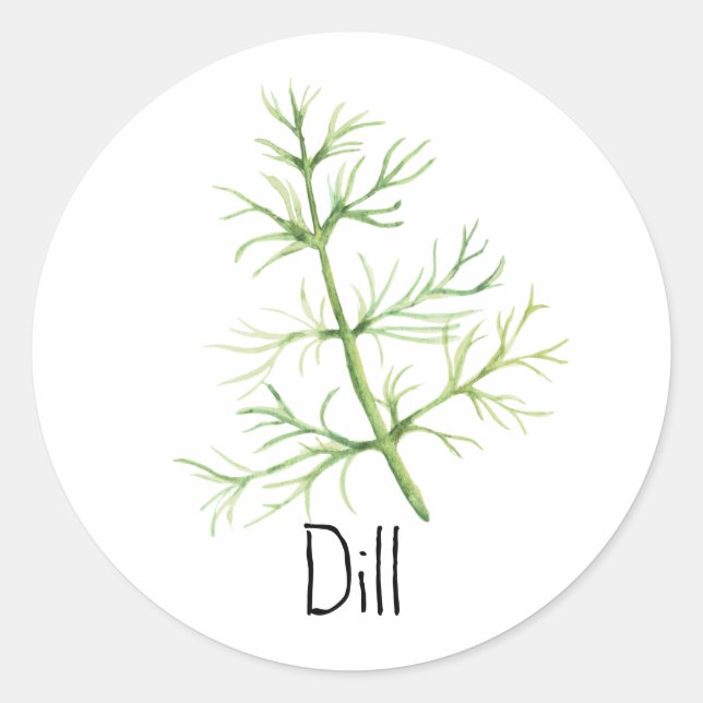 Watercolor Herb Dill Classic Round Sticker (Front)