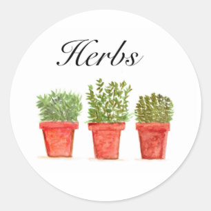 Watercolor Herbs Thyme Rosemary Oregano Plants Pot Classic Round Sticker