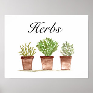 Watercolor Herbs Thyme Rosemary Parsley Plants Poster