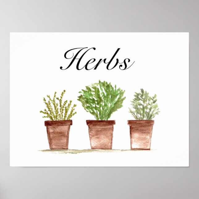 Watercolor Herbs Thyme Rosemary Parsley Plants Poster (Front)