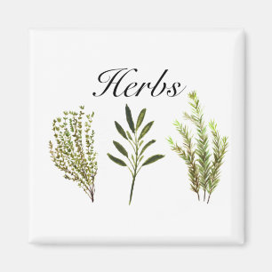 Watercolor Herbs Thyme Rosemary Sage Plants Pot Magnet