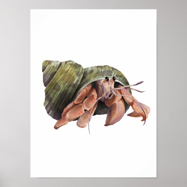 Watercolor Hermit Crab Crustaceancore  Poster (Front)