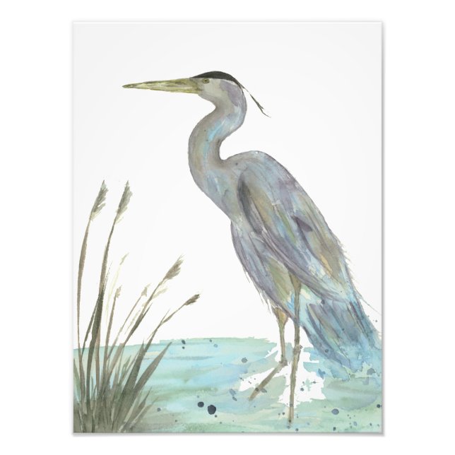 Watercolor Heron in the Marsh Photo Print (Front)