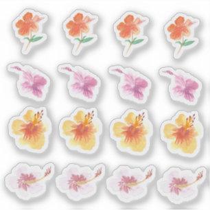 Watercolor Hibiscus Colourful Florals Hand Painted