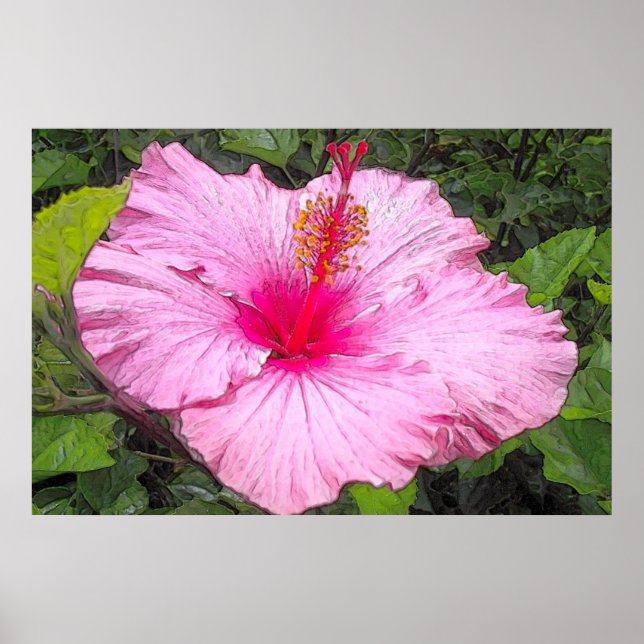 Watercolor Hibiscus Print (Front)