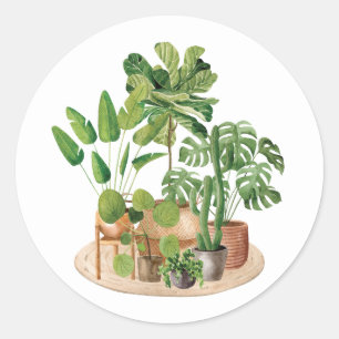 Watercolor Houseplants Classic Round Sticker