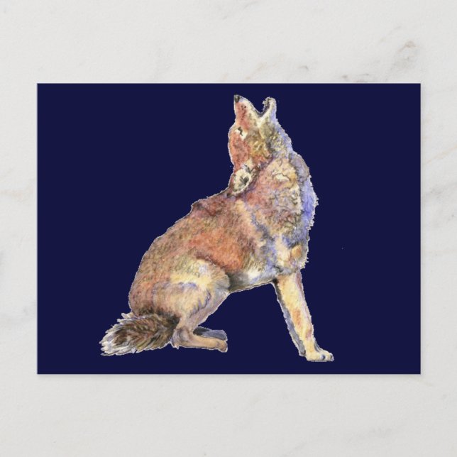 Watercolor Howling Coyote, Animal, Nature Wildlife Postcard (Front)