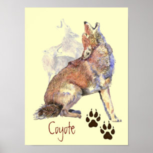 Watercolor Howling Coyote Poster