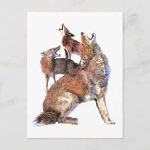 Watercolor Howling Coyotes Animal Nature Art Postcard