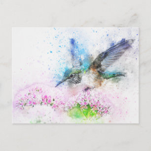 Watercolor Hummingbird Illustration Postcard