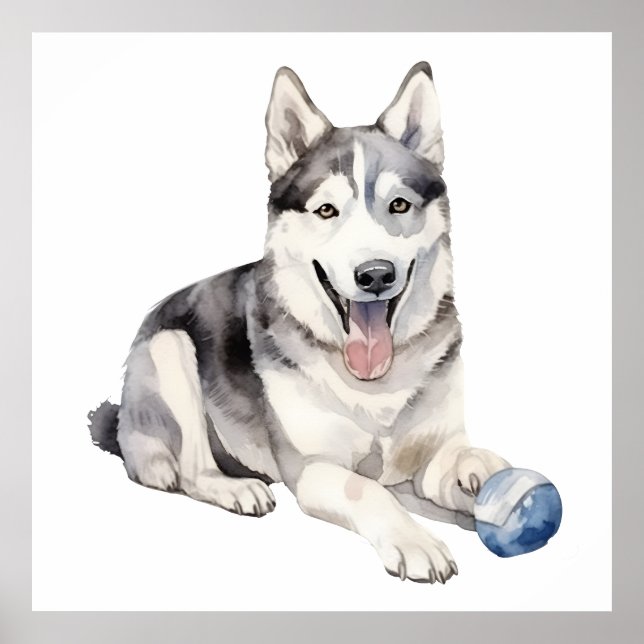 Watercolor Husky Dog Poster (Front)