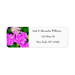 Watercolor Hydrangea Pink Floral return address