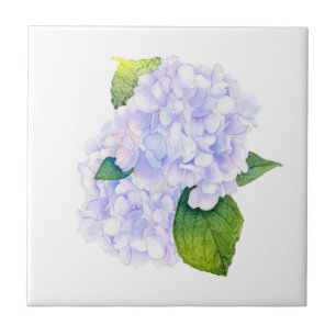 Watercolor Hydrangeas  Tile