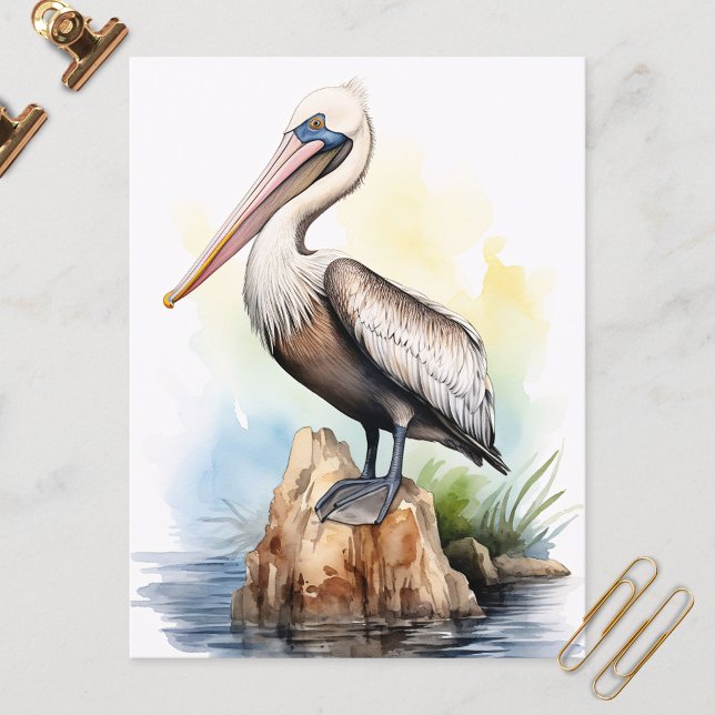 Watercolor Illustration of a Pelican Postcard (Creator Uploaded)