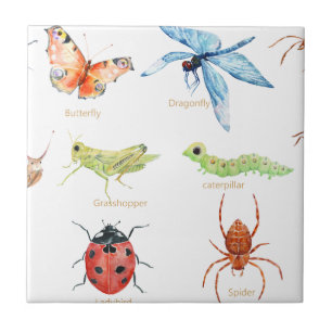 Watercolor insect illustration tile