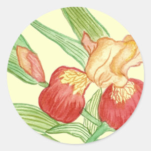 Watercolor iris classic round sticker