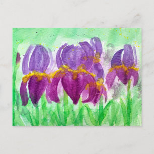 Watercolor Irises in Blue and Purple Tones Holiday Postcard