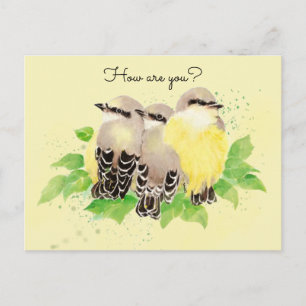 Watercolor Kingbird Garden Bird Nature Art Postcard