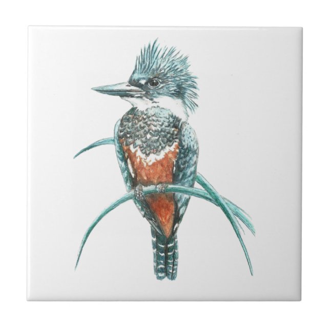 Watercolor Kingfisher Bird Wildlife Art Tile (Front)