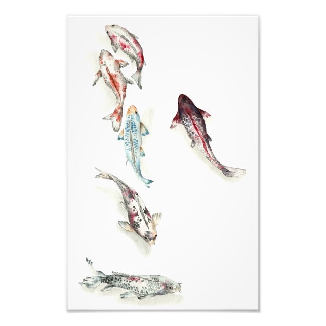 Watercolor Koi Fish Photo Print (Front)