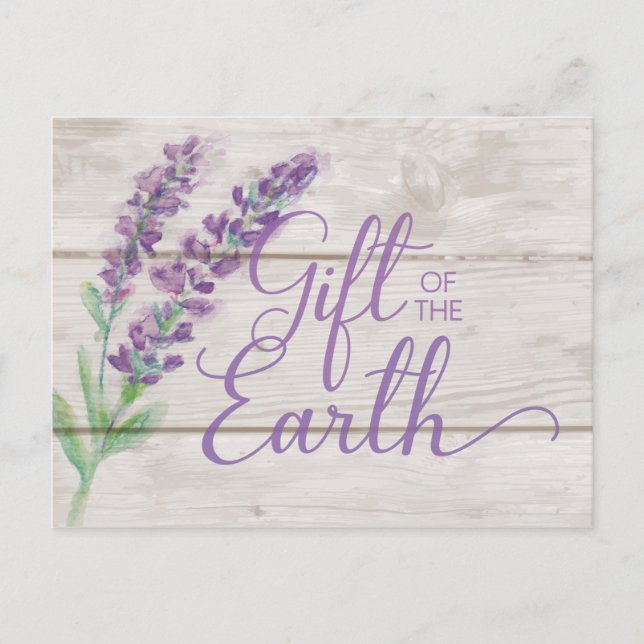 Watercolor Lavender Essential Oils Class Postcard (Front)