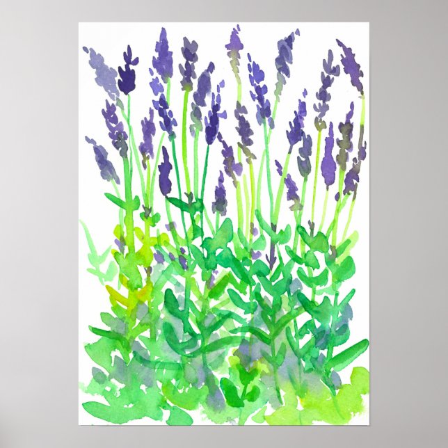 Watercolor Lavender Flower Garden Poster (Front)