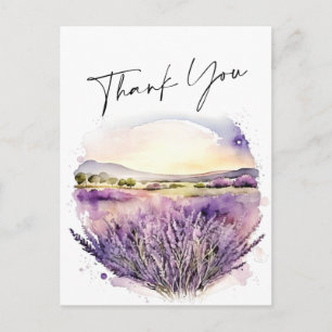 Watercolor Lavender Flowers Field Thank You Postcard