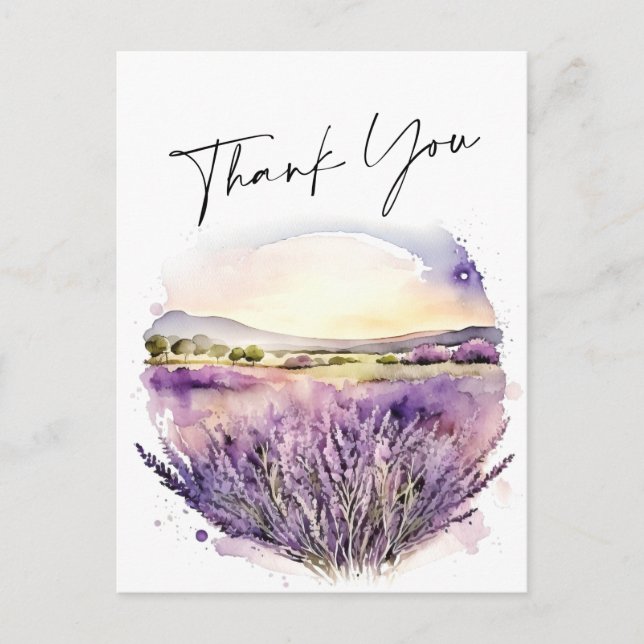 Watercolor Lavender Flowers Field Thank You Postcard (Front)