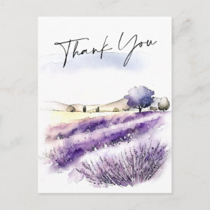 Watercolor Lavender Flowers Field Thank You Postcard