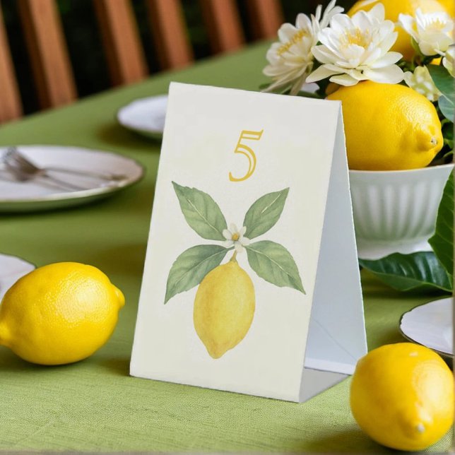 Watercolor Lemon Birthday Pedestal Sign (Creator Uploaded)