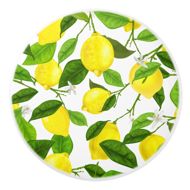 Watercolor Lemon Ceramic Knob (Front)