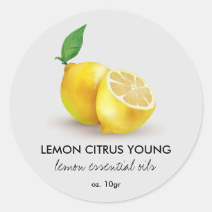 Watercolor Lemon citrus lime Grey Classic Round Sticker