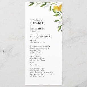 Watercolor lemon foliage wedding program programme