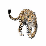 watercolor leopard jungle cat painted animal green photo sculpture decoration<br><div class="desc">Watercolor painting of a leopard...  my spirit animal!</div>