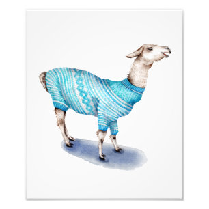 Watercolor Llama in Blue Sweater Photo Print