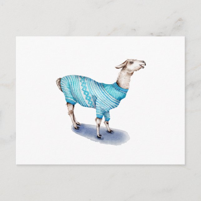 Watercolor Llama in Blue Sweater Postcard (Front)