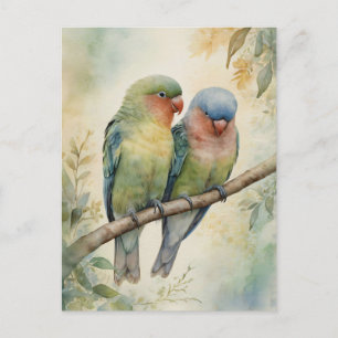 Watercolor Lovebirds Eucalyptus Tree Postcard