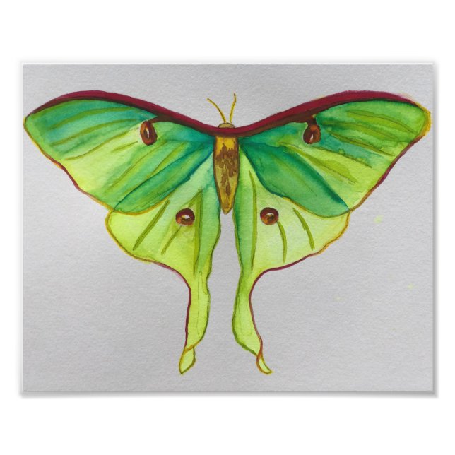 Watercolor Luna Moth Photo Print (Front)