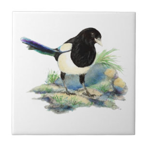  Watercolor Magpie Bird Looking at You Tile