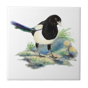 Watercolor Magpie Bird Wildlife Art Tile