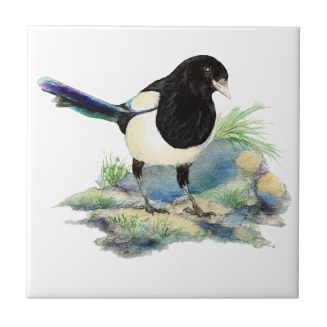 Watercolor Magpie Bird Wildlife Art Tile (Front)