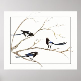 Watercolor Magpie Family Garden Bird art Poster