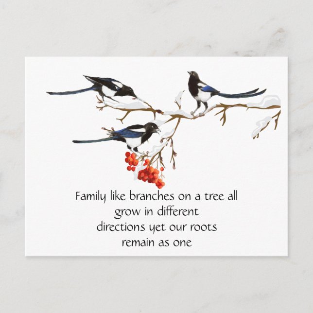 Watercolor Magpie Family Quote Animal Nature  Postcard (Front)