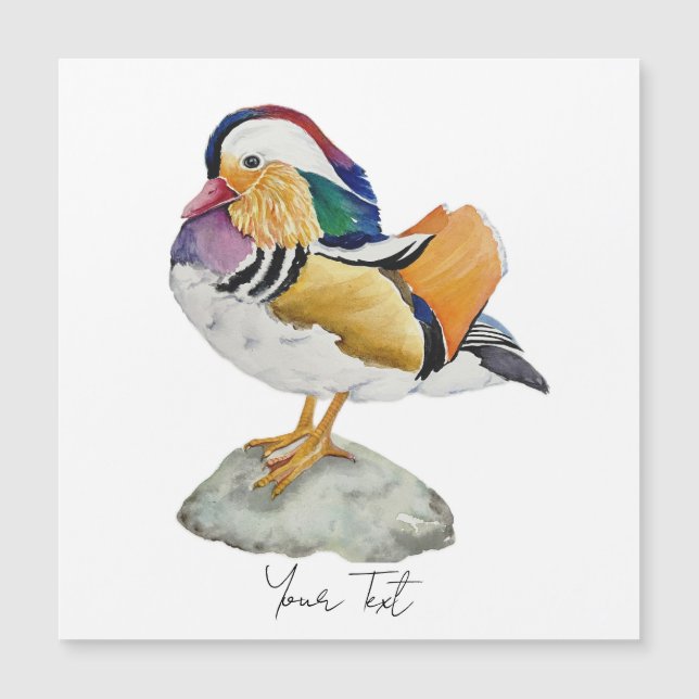 Watercolor Mandarin Duck (Front)