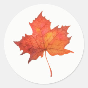 Watercolor Maple Leaf Classic Round Sticker