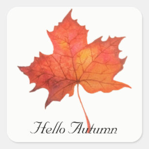Watercolor Maple Leaf Square Sticker
