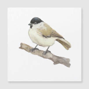 Watercolor Marsh Tit
